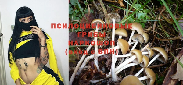 гашик Армянск