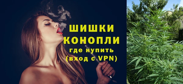 индика Михайловск