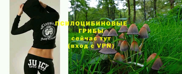 гашик Армянск