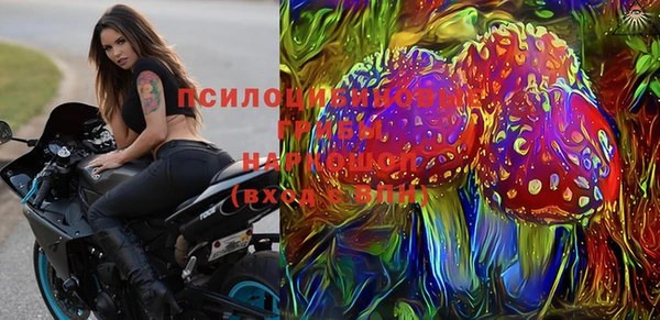 дживик Арсеньев