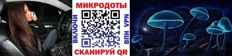 Галлюциногенные грибы Cubensis Новый Уренгой